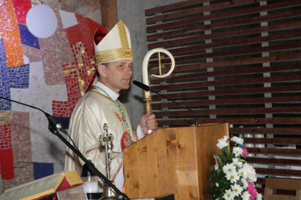 Škof Saje pod Krenom: Sprava je osebno dejanje in je ni mogoče zapovedati z ukazom